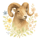 Aries